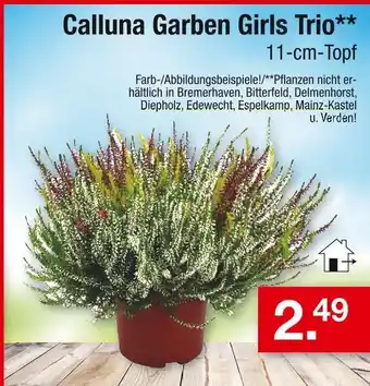 Zimmermann Calluna garben girls trio Angebot