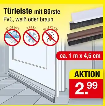 Zimmermann Türleiste mit bürste Angebot