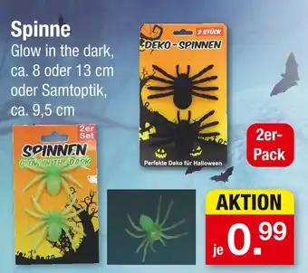 Zimmermann Spinne glow in the dark Angebot