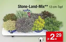 Zimmermann Stone-land-mix Angebot