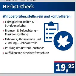 AUTO plus Herbst-check Angebot