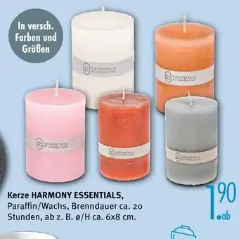 Trends Möbel Harmony essentials kerze Angebot