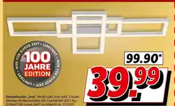 Segmüller Deckenleuchte iven Angebot