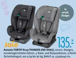 Trends Möbel Joie autositz fortifi r129 thunder und shale Angebot