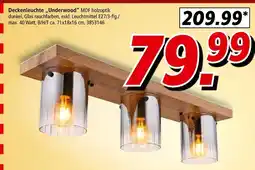 Segmüller Deckenleuchte 'underwood' Angebot