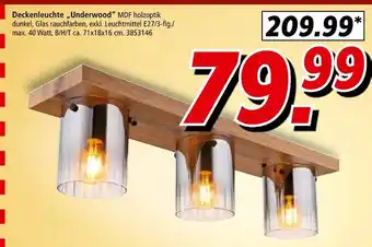 Segmüller Deckenleuchte 'underwood' Angebot