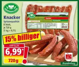 Norma Knacker Angebot