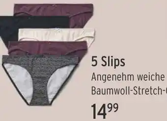 Famila Nord West Tchibo 5 Slips Angebot
