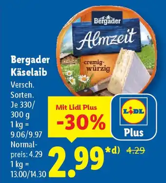 Lidl Bergader Käselaib Angebot