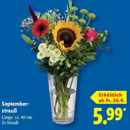 Lidl September- strauß Angebot