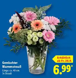 Lidl Gemischter Blumenstrauß Angebot