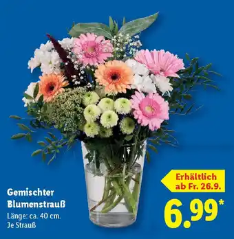Lidl Gemischter Blumenstrauß Angebot