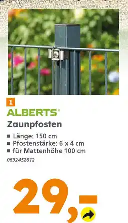 Globus Baumarkt ALBERTS Zaunpfosten Angebot