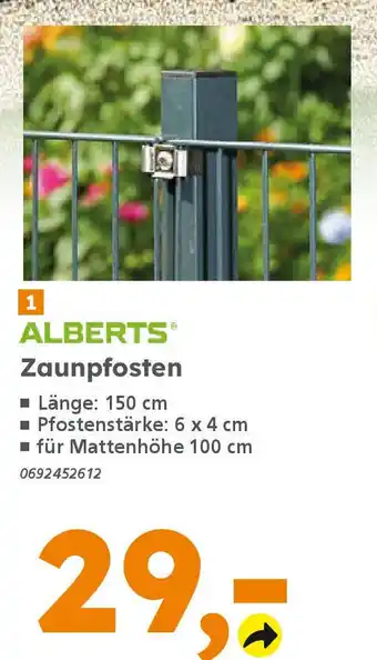 Globus Baumarkt ALBERTS Zaunpfosten Angebot