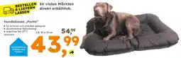 Globus Baumarkt Hundekissen „Ponto" Angebot