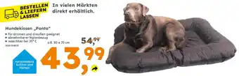 Globus Baumarkt Hundekissen „Ponto" Angebot