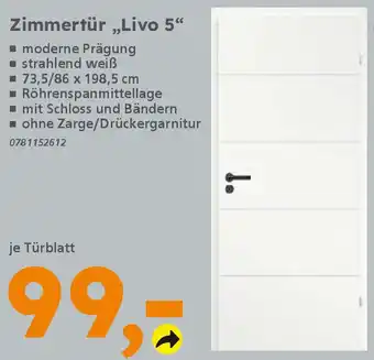 Globus Baumarkt Zimmertür „,Livo 5" Angebot