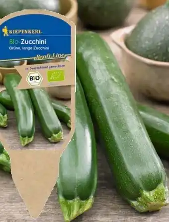 OBI Bio-Zucchini Angebot