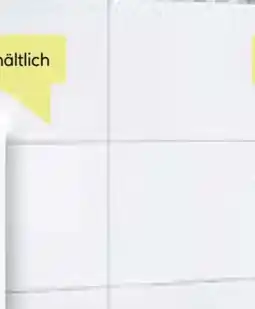 BayWa Wandfliese Angebot