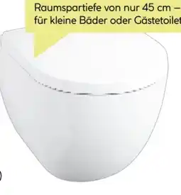 BayWa Valblue Spülrandloses Wand-WC-Set Tallinn Angebot