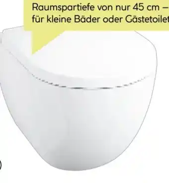 BayWa Valblue Spülrandloses Wand-WC-Set Tallinn Angebot