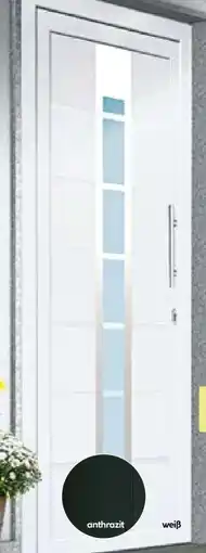 BayWa Kunststoff-Haustür D84 Angebot