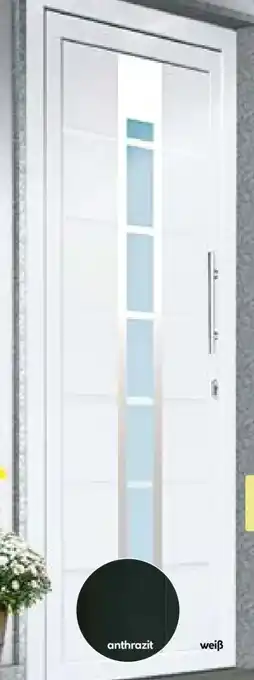 BayWa Kunststoff-Haustür D84 Angebot