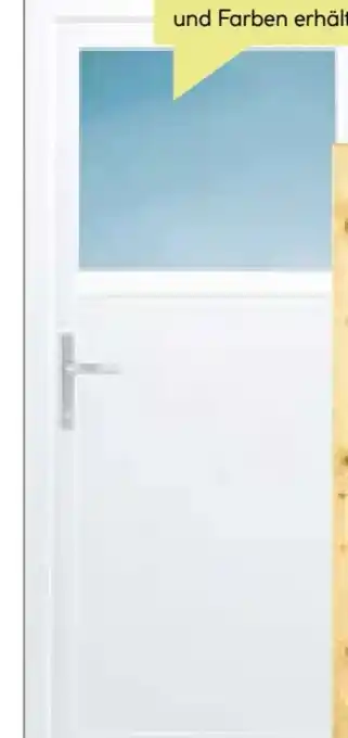 BayWa Kunststoff-Nebeneingangstür F02 Easy Angebot