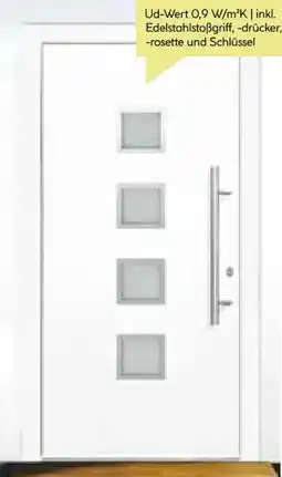 BayWa Aluminium-Sicherheitshaustür Prestige Angebot
