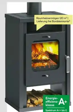 BayWa Kaminofen Katharina Angebot