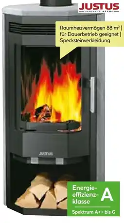 BayWa Justus Kaminofen Usedom Angebot