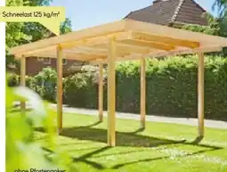 BayWa Carport Lärche Angebot