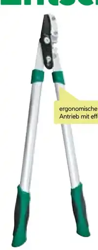 BayWa Wingart Amboss-Astschere Angebot