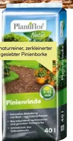BayWa Plantiflor Pinienrinde Angebot