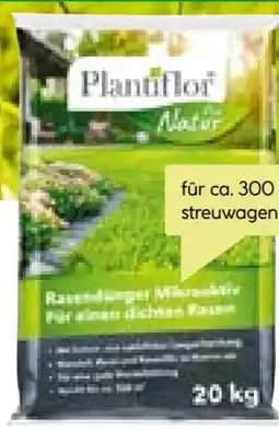 BayWa Plantiflor Rasendünger Angebot