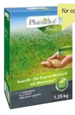 BayWa Plantiflor Rasennachsaat Rasenfit Angebot