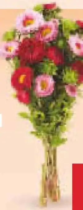 Netto Marken-Discount Sommerastern-Strauß Angebot