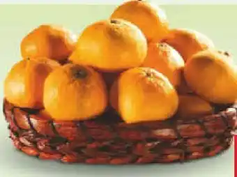 Netto Marken-Discount Bio-Satsumas Angebot