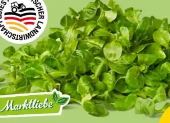 PENNY Marktliebe Feldsalat Angebot