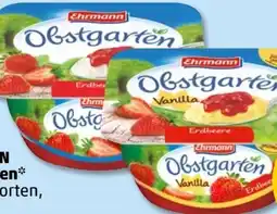PENNY Ehrmann Obstgarten Angebot