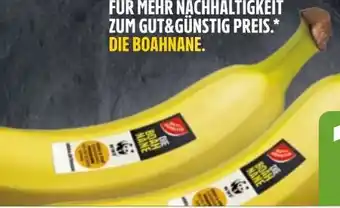 Edeka Xpress Gut & Günstig Bananen Angebot