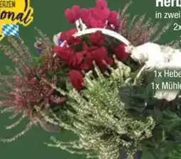 E-Center Heidegarten Angebot