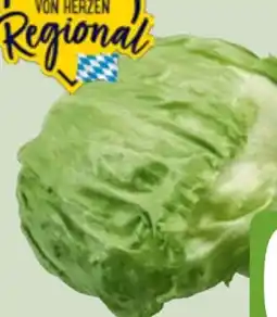 Edeka Xpress Eisbergsalat Angebot