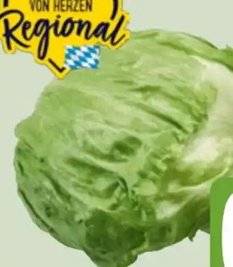 Edeka Xpress Eisbergsalat Angebot