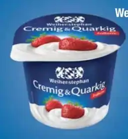 E-Center Weihenstephan Fruchtquark Angebot