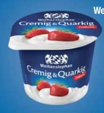 E-Center Weihenstephan Fruchtquark Angebot