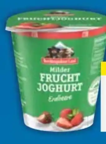 E-Center Berchtesgadener Land Frucht Joghurt Angebot