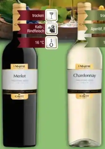 E-Center Cavit Merlot Angebot