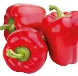 Edeka Gut & Günstig Paprika Rot Angebot