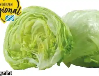 Edeka Eisbergsalat Angebot